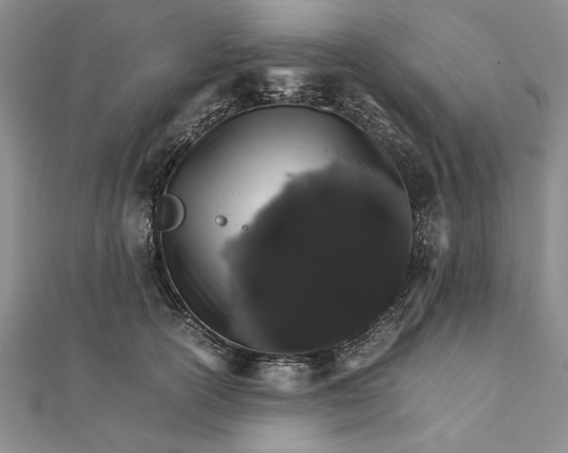 X0000111680754200908071424