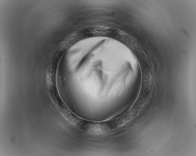 X0000111680755200908071424