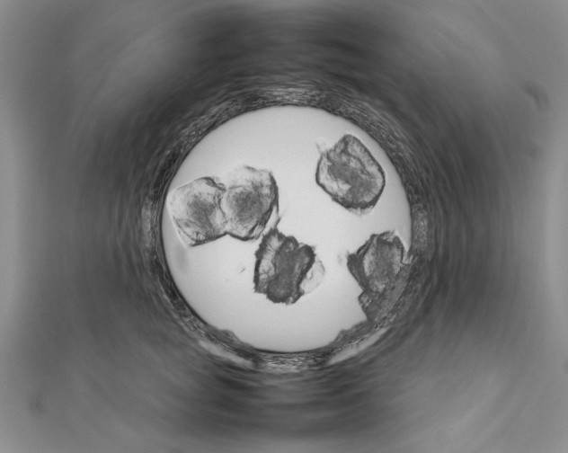 X0000111680757200908071424