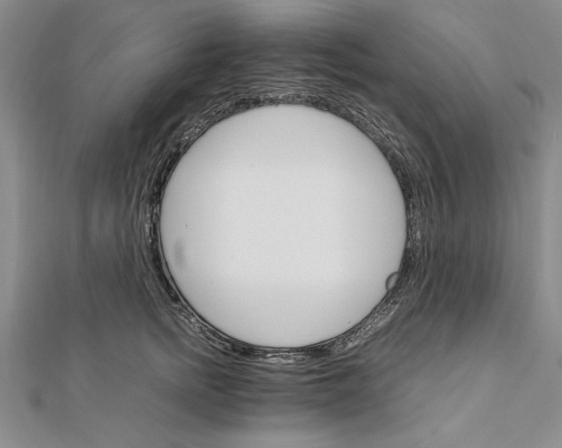 X0000111680758200908071424