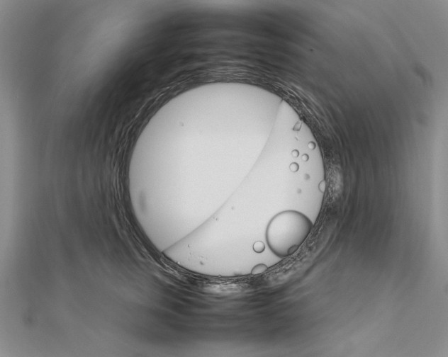 X0000111680759200908071425