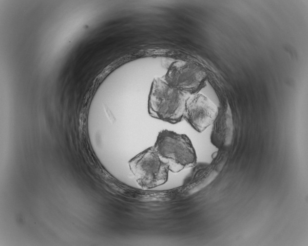 X0000111680761200908071425