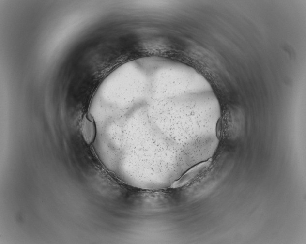 X0000111680762200908071425