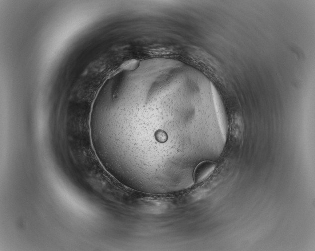 X0000111680763200908071425