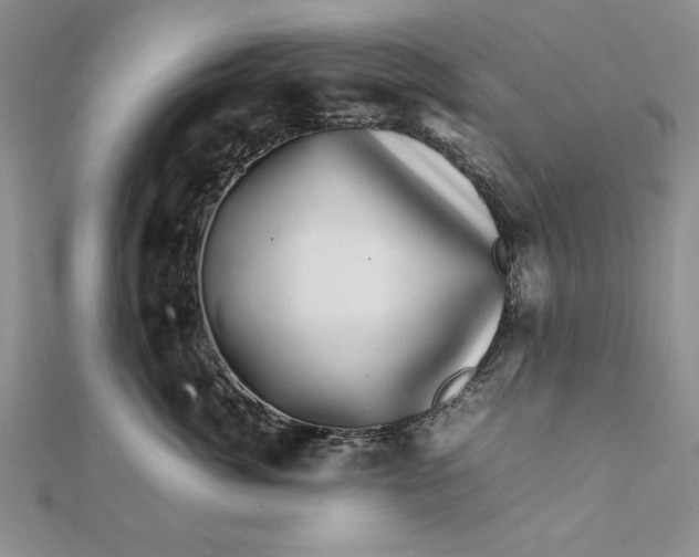 X0000111680764200908071425