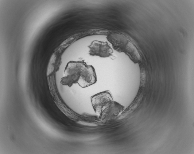 X0000111680765200908071425