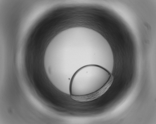 X0000111680766200908071425