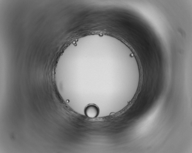 X0000111680767200908071425