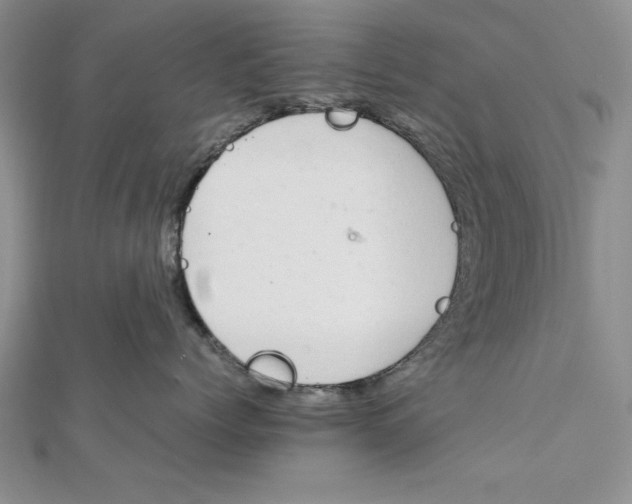 X0000111680768200908071425