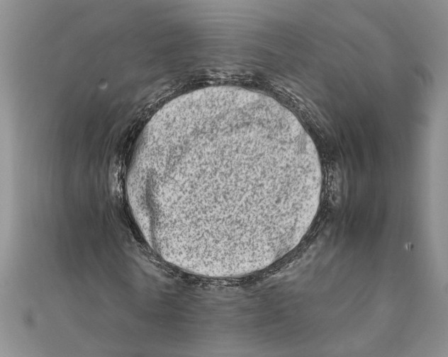 X0000111680770200908071424