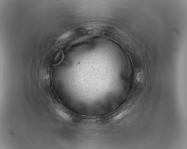 X0000111680771200908071424