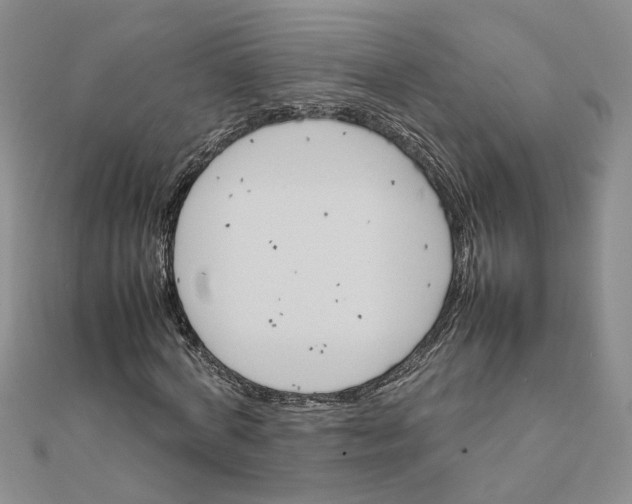 X0000111680772200908071424