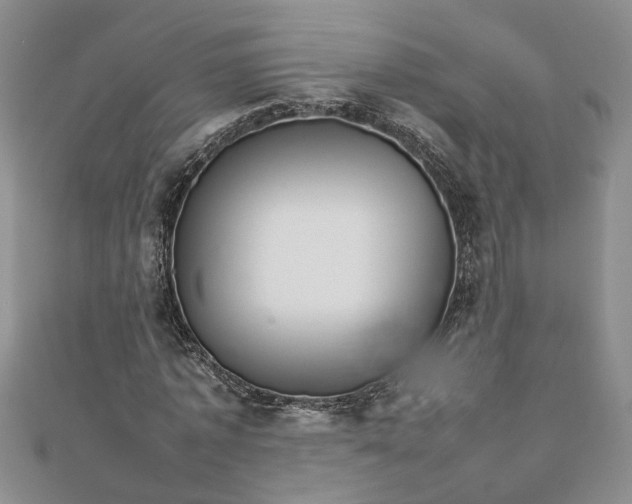 X0000111680773200908071424