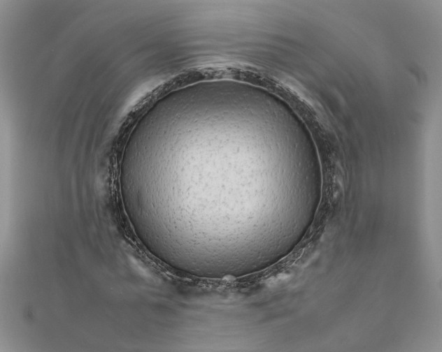 X0000111680775200908071424