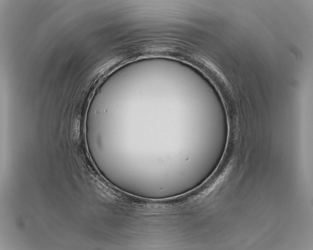 X0000111680777200908071424