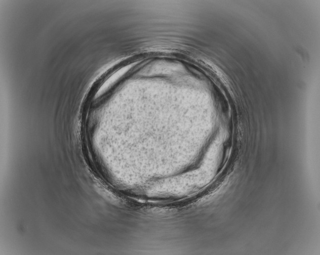 X0000111680779200908071424