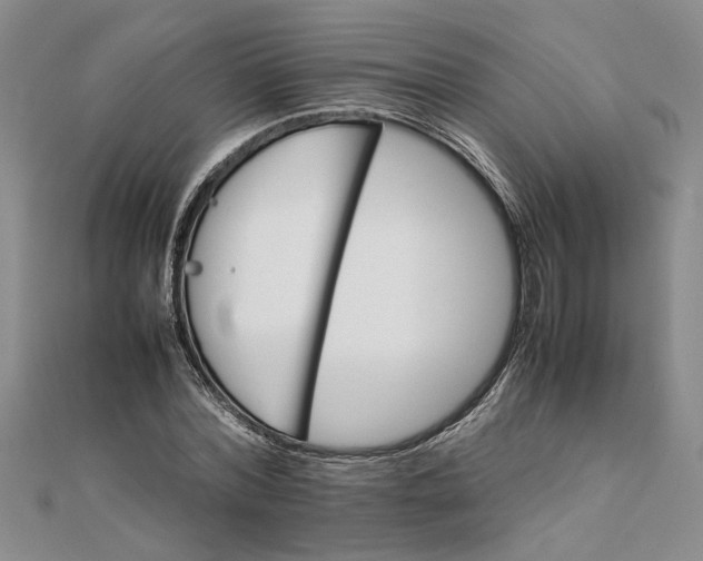 X0000111680780200908071424