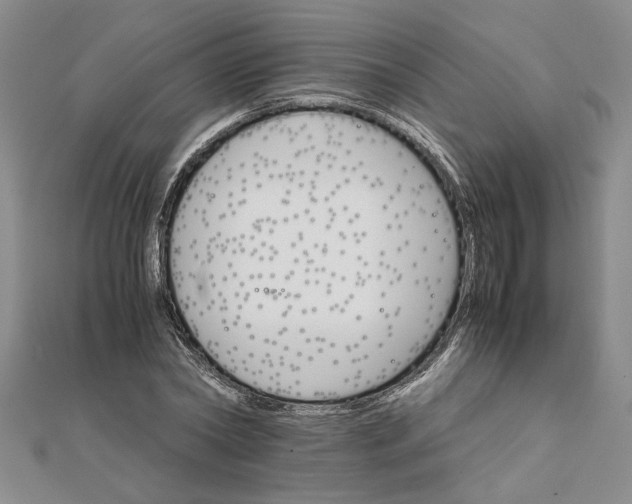 X0000111680782200908071424