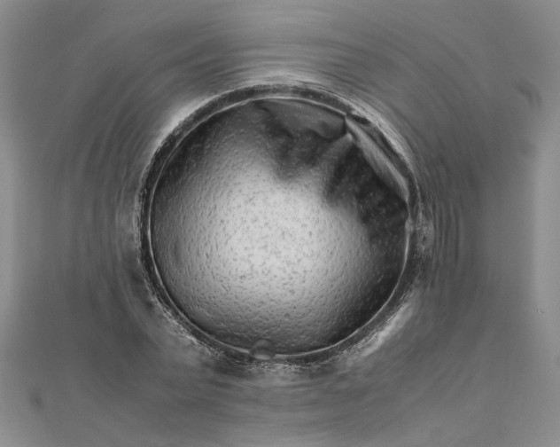 X0000111680783200908071424