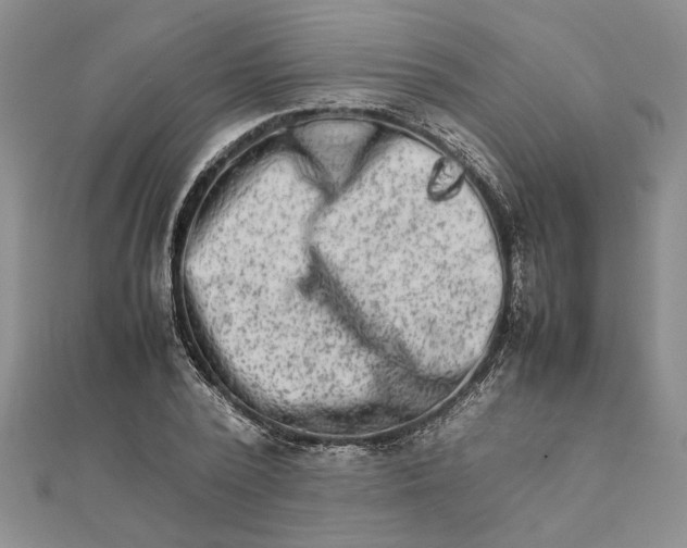 X0000111680784200908071424