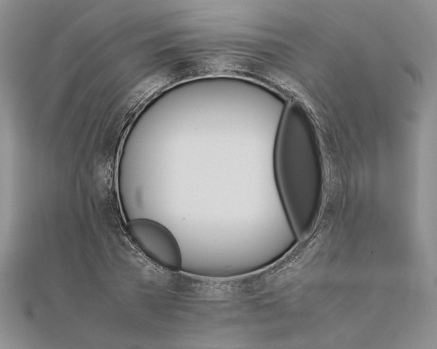 X0000111680785200908071424