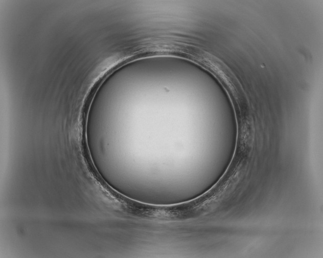 X0000111680787200908071424