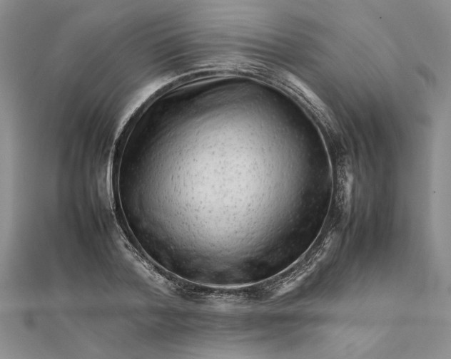 X0000111680788200908071424