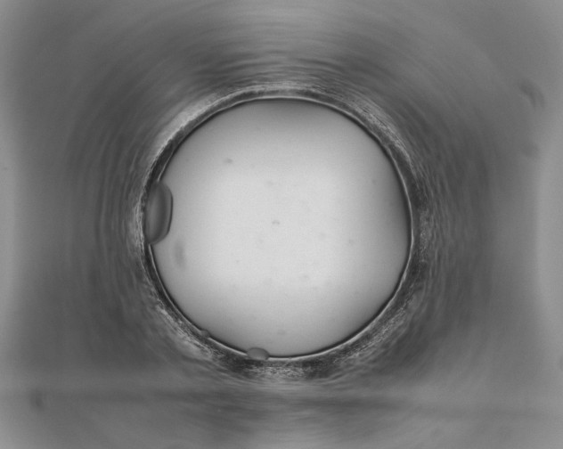 X0000111680789200908071424