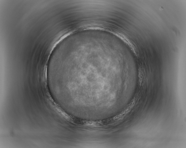 X0000111680790200908071424