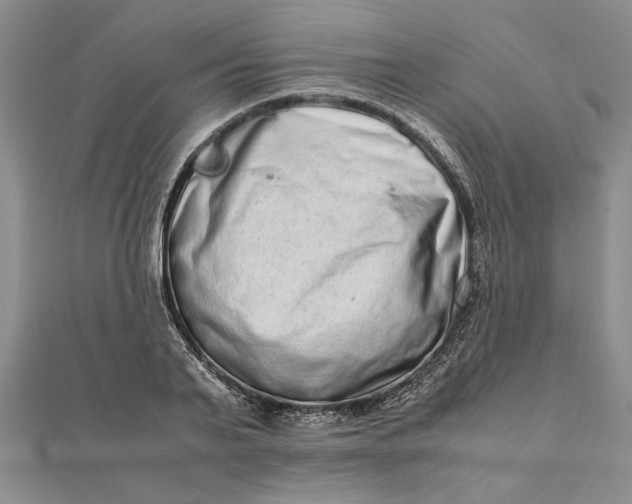 X0000111680791200908071424