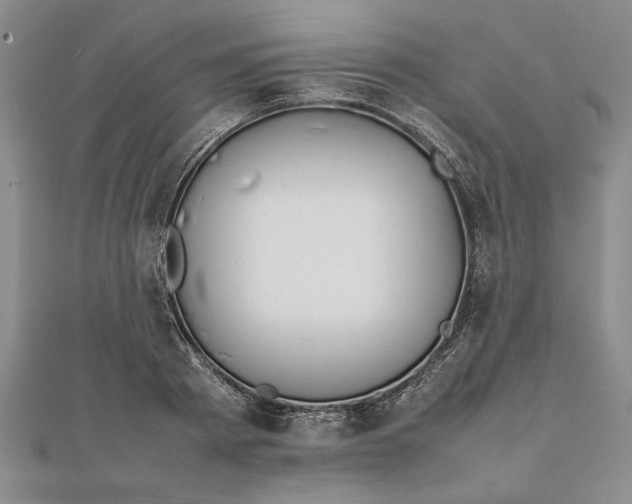 X0000111680793200908071424