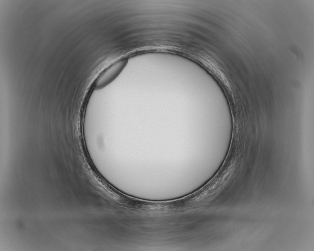 X0000111680797200908071424