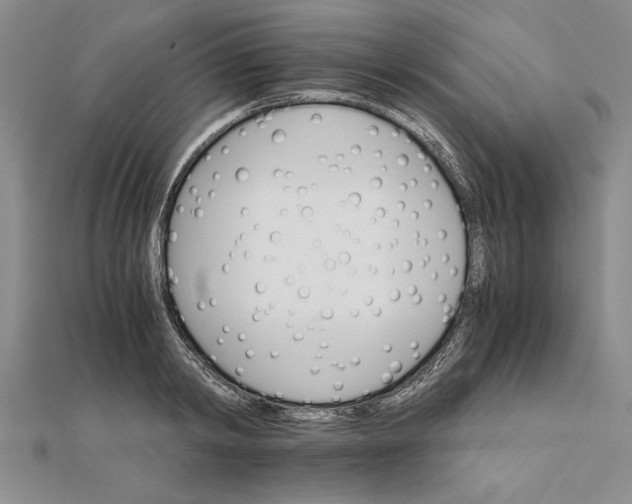 X0000111680798200908071424