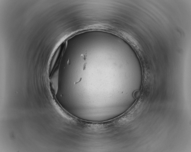 X0000111680800200908071424