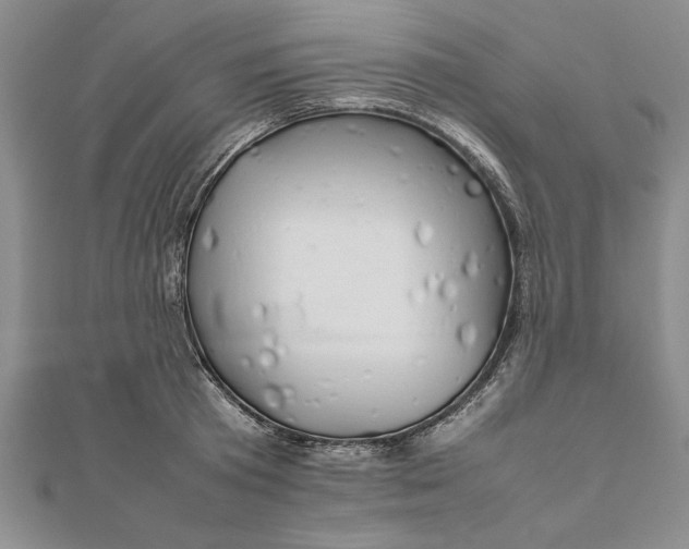 X0000111680801200908071424