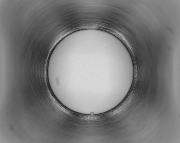 X0000111680802200908071424