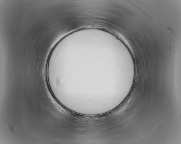 X0000111680803200908071424