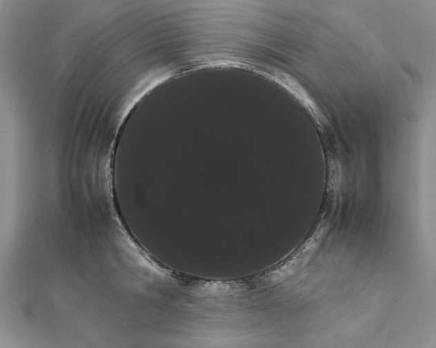 X0000111680806200908071424