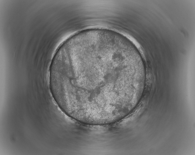 X0000111680807200908071424