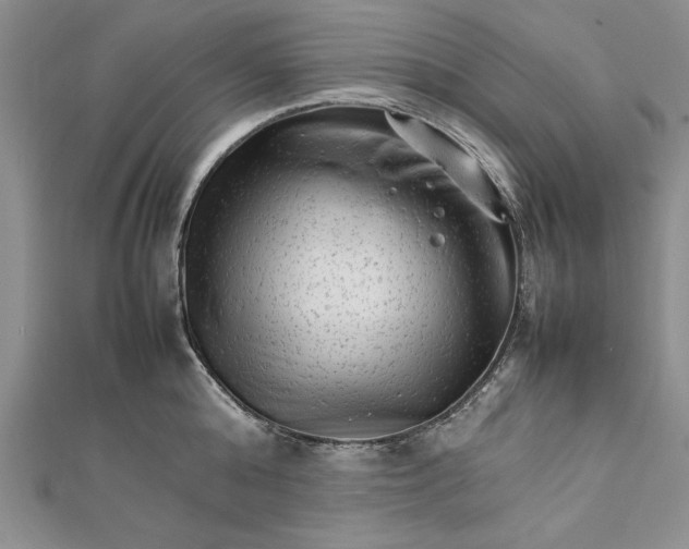 X0000111680808200908071424