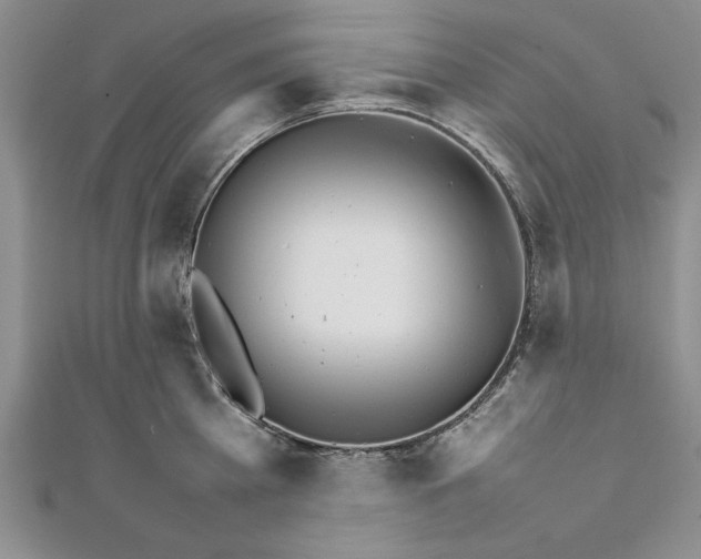 X0000111680809200908071423