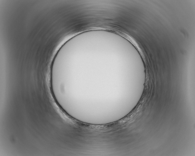 X0000111680811200908071423