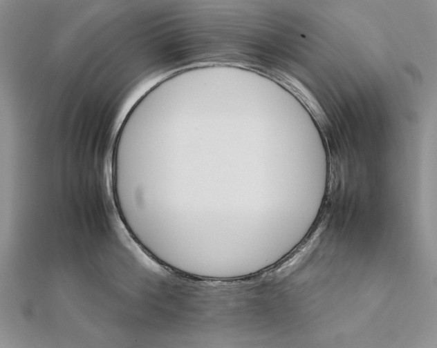 X0000111680812200908071423