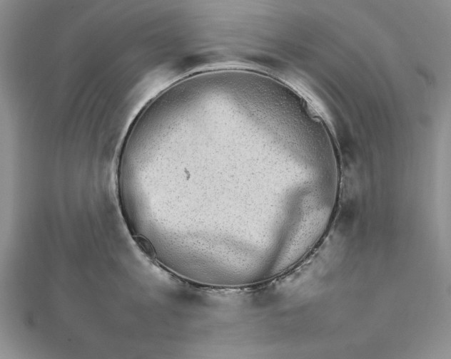 X0000111680813200908071423