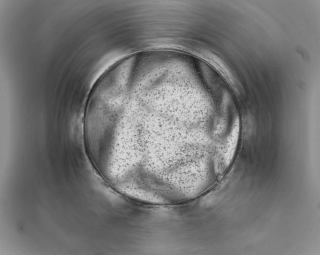 X0000111680814200908071423