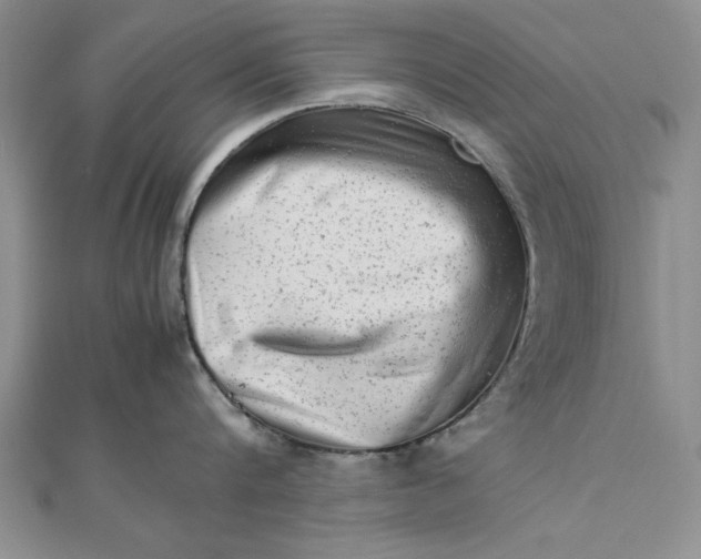 X0000111680816200908071423