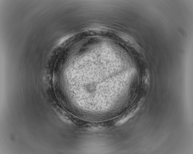 X0000111680822200908071423