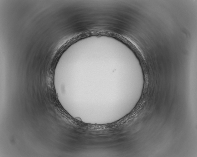 X0000111680823200908071423