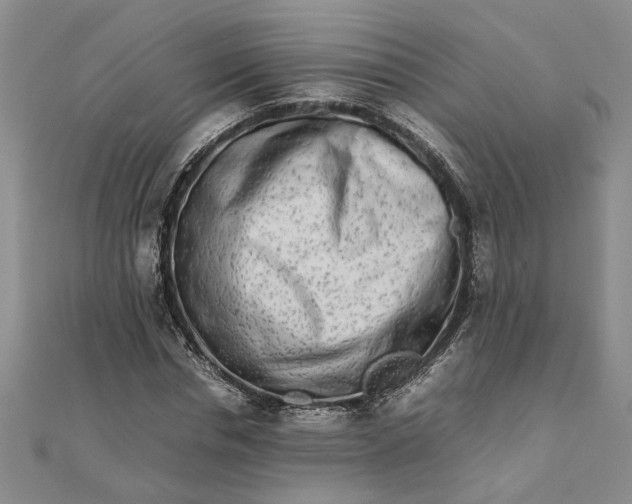 X0000111680826200908071423