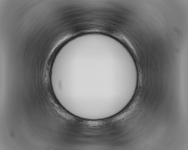 X0000111680827200908071423